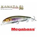 Megabass Kanata / Kanata +1