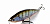 Воблер Lucky Craft LL Pointer 170 Ghost Blue Gill 895