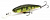 Воблер Jackall Squad Shad 65 ghost g perch
