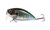 Воблер Megabass Over Rev Crank Burning Shad Wagin Hasu Bs