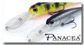 Panacea Long Marauder 145 F DR