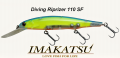 Diving Riprizer 110 SF 