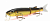 Воблер Strike Pro EG-157SP 613-713