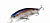 Воблер Lucky Craft Pointer 128 Ghost Pro Blue 059