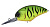 Воблер OSP Blitz DR Crankbait P-14