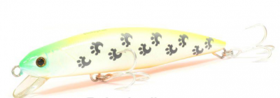 Воблер Fishycat Tigercub 170F X09