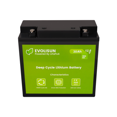 Аккумулятор EVOLISUN LiFePO4 12.8 V, 30 Ah (30A)