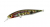 Воблер DUO Realis Jerkbait 85SP ADA3058 Воблер DUO Realis Jerkbait 85SP ADA3058