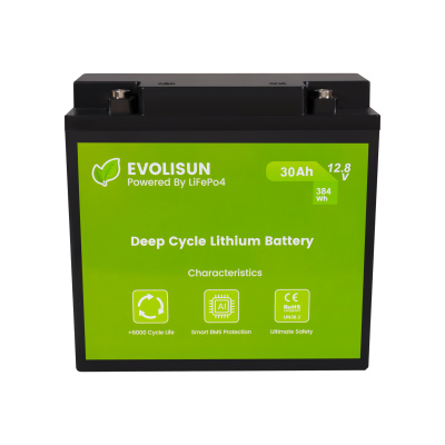 Аккумулятор EVOLISUN LiFePO4 12.8 V, 30 Ah (30A)