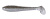 Keitech Swing Impact FAT 2.8 440T Electric Shad Keitech Swing Impact FAT 2.8 440T Electric Shad