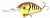Воблер Bomber Fat Free Shad Jr. BD6F CWB